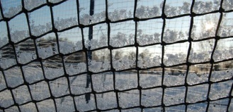 winter09_4.JPG