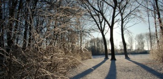 winter09_3.JPG